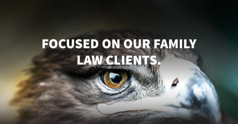 Queens NY Divorce Lawyers Queens NY Family Law Attorneys Family Mobile Banner